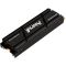 Kingston FURY Renegade PCIe 4.0 NVMe M.2 SSD, 1TB.