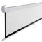 Projector screen ALLSCREEN MANUAL PROJECTION SCREEN 221X125CM HD FABRIC CWP-100169