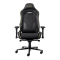 GXT721 RUYA PRO GAMING CHAIR