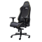 GXT721 RUYA PRO GAMING CHAIR