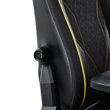 GXT721 RUYA PRO GAMING CHAIR