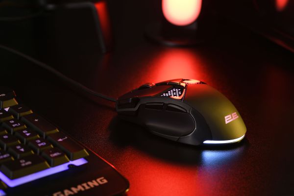 2E GAMING Mouse MG320, RGB, USB-A, black