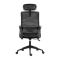 2E Office Chair OC120, fabric, fixed armrests, headrest, black