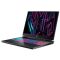 Acer Predator Helios Neo 16 PHN16-72 16" WQXGA IPS, Intel i7-14650HX, 16GB, F1TB, NVD4060-8, Lin, black