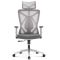 ALLX MS-2216B, Office Chair, Gray