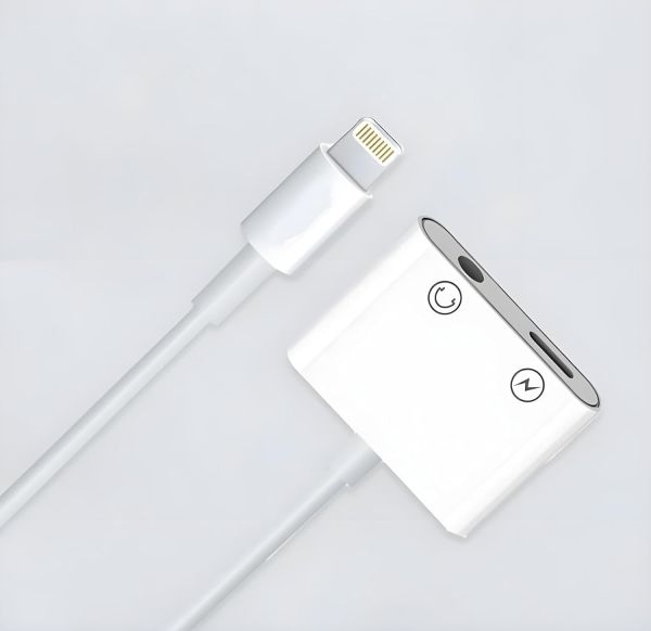 Dual Pin Audio Charge Adapter