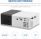 Projector YG300
