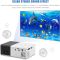 Projector YG300