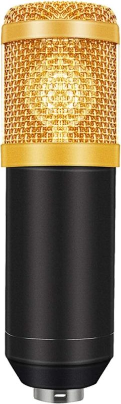Studio Microphone Gold