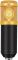 Studio Microphone Gold