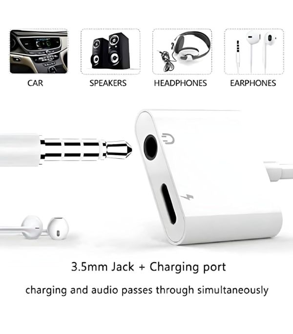 Dual Pin Audio Charge Adapter