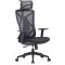 ALLX MS-1225, Office Chair, Black