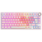 Royal Kludge RK R75-PM-XW RGB Mechanical Keyboard, Beige Switch, Hot Swappable, Wired, USB, Pink Melody