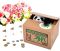Panda moneybox