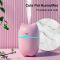 Warm Mist Humidifiers