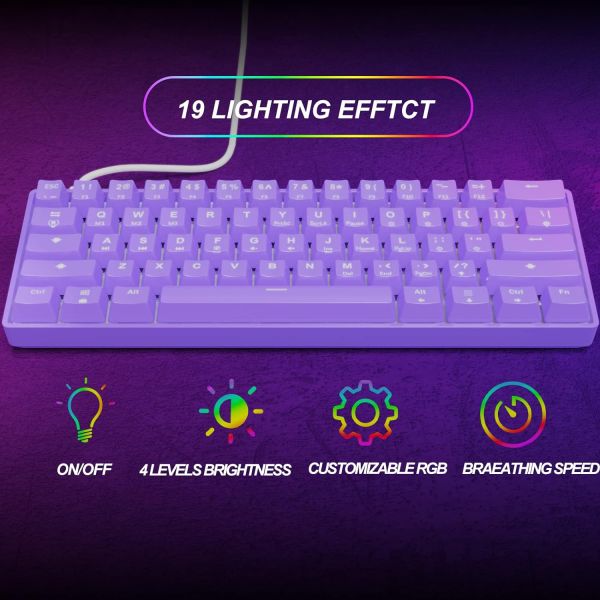 Targeal  Brown Switch Purple