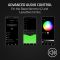 Razer WL Control Pod, black