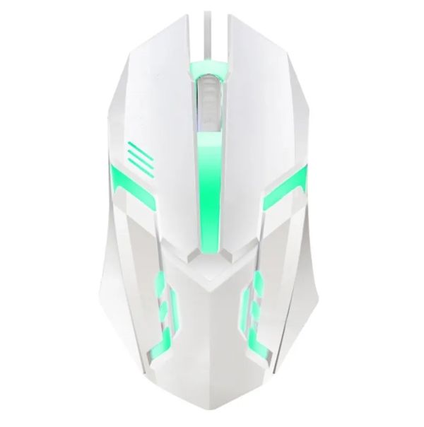 Mouse A102