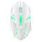 Mouse A102