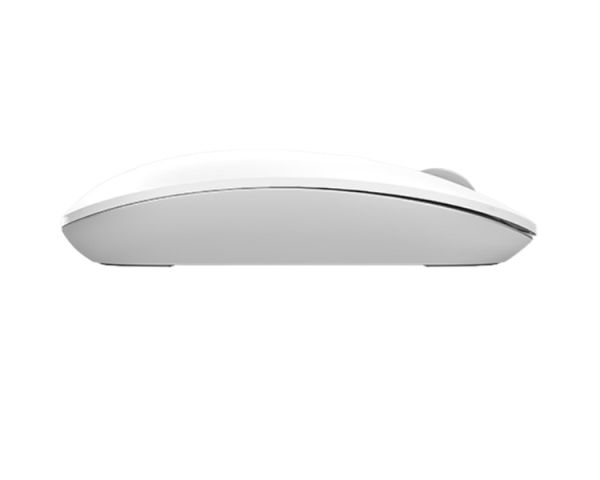 Mouse: A4tech Fstyler FG20 2.4G Wireless Mouse White
