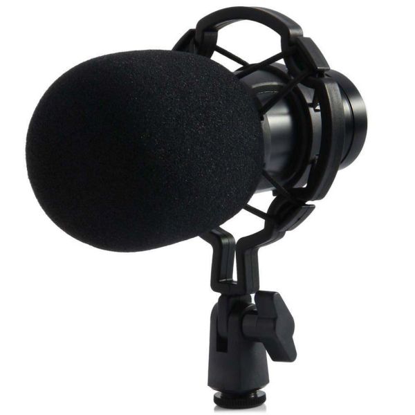 Studio Microphone