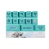 Valorant PBT keycaps