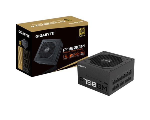 Power supply: Gigabyte GP-P750GM 750W 80 Plus Gold Modular Power Supply