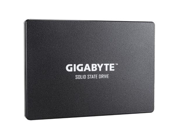 Hard drive: Gigabyte GP-GSTFS31100TNTD 1TB SATA III 6.0Gb/s 2.5"