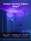 Govee H60B0 Uplighter Floor Lamp, 1000Lm, RGBWW+RGBIC+WW, WI-FI/Bluetooth, чорний