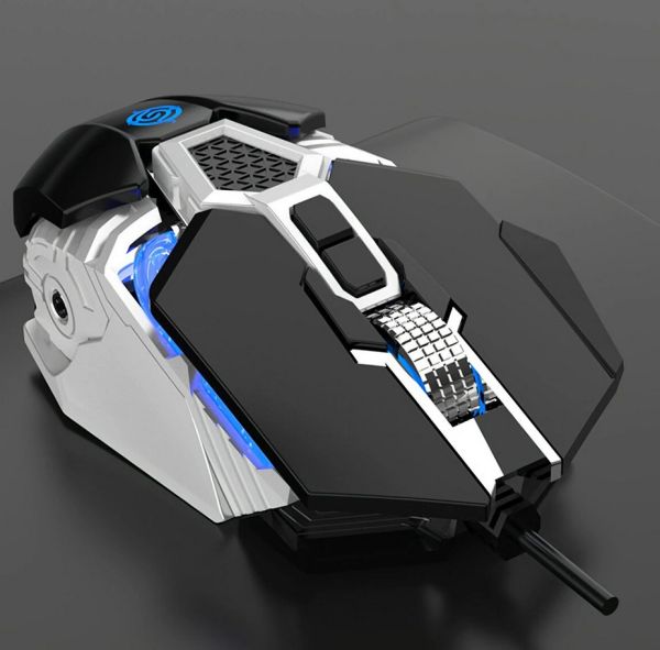 K-Snake Q18