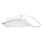 Razer Mouse Viper V2 Pro, USB-A/WL, white