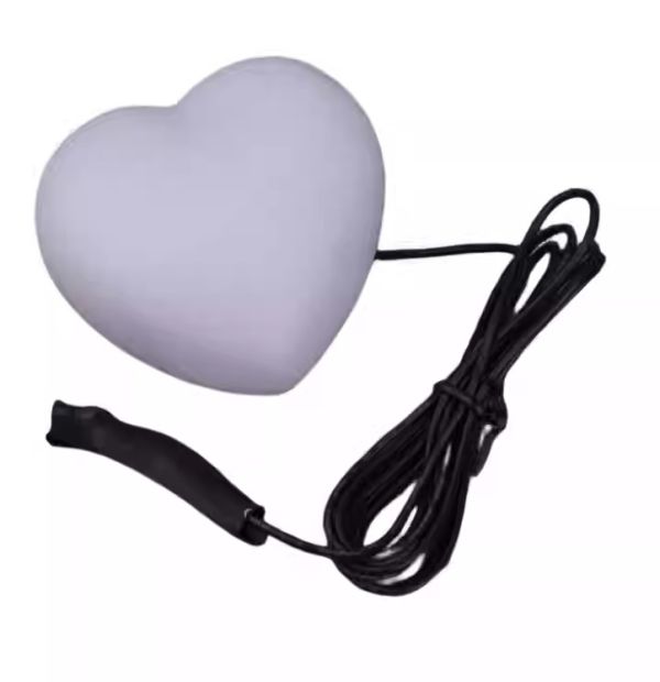 Luminous Heart
