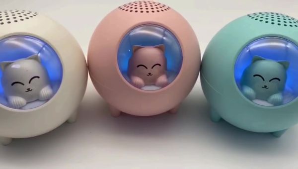 Pet Bluetooth audio Pink