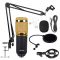 Professional BM800 Condenser Microphone