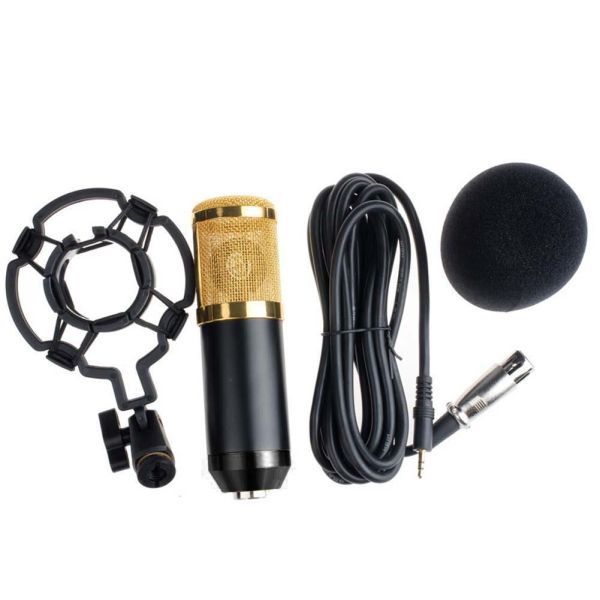 Professional BM800 Condenser Microphone