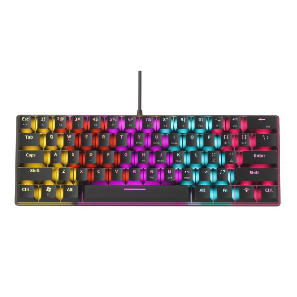 Mouse GE Combo 14