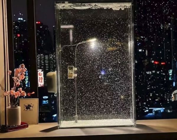 Snowy Night