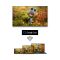 TV 50" Thomson QLED 4K 60Hz Smart Google TV Black