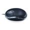 Mini Black Mouse