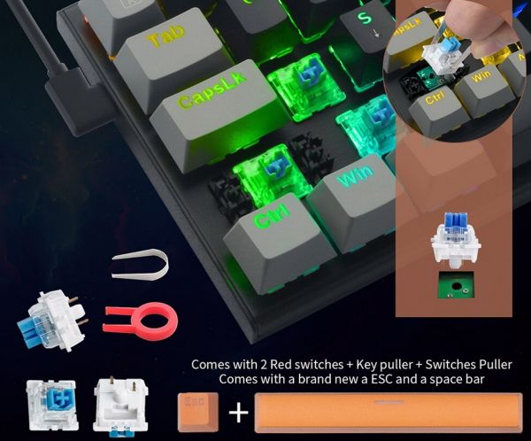 Z11 Blu Switches